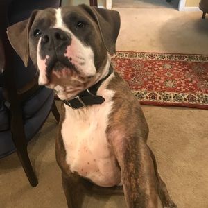 Meet your Posher, Kim